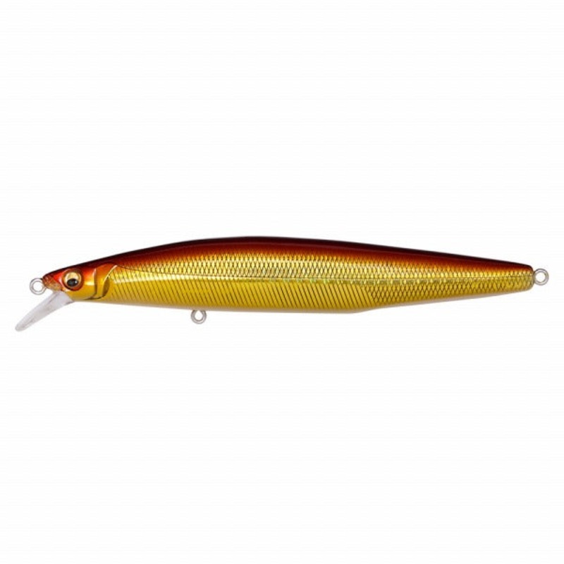 Megabass Seabass Lure MARINE GANG Cookai 120F GG Akakin