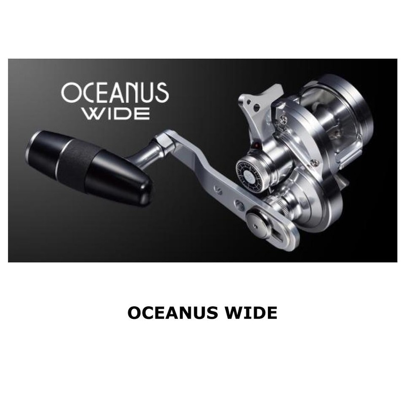 Evergreen Oceanus Wide Right